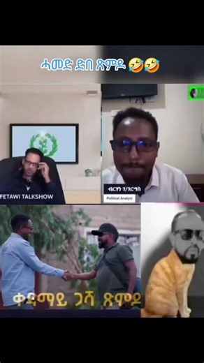 Understanding the Eritrean Regime Change Movement