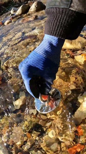 River Treasure Hunt with a🧲Powerful Magnet #shorts #metaldetecting #satisfying