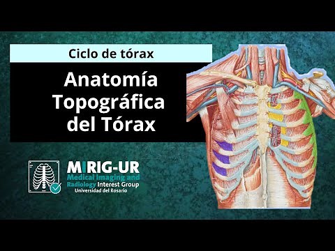 Anatomía topográfica del tórax - MIRIG UR