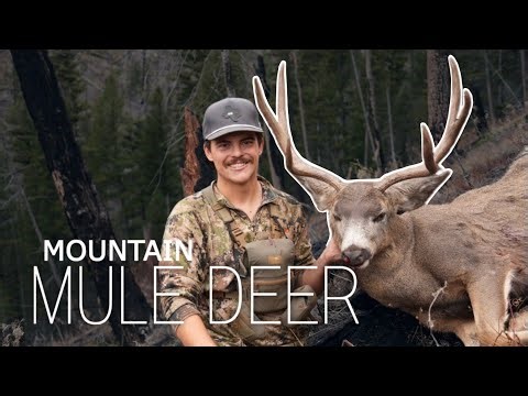 "THE BIG 3"- A Backcountry Mule Deer hunt | OVERLAP OUTDOORS | 4K