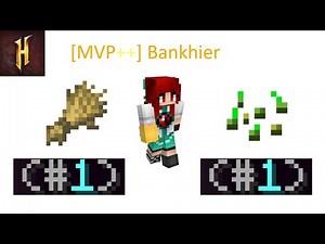 Bankhier- The #1 Wheat Farmer in Hypixel Skyblock