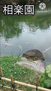 [Kobe Sightseeing] I enjoyed the food more than the flowers at Sorakuen Garden. The foreign resid...