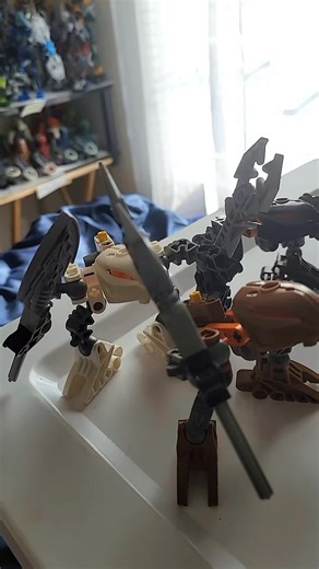 gaaki fought roodaka when her other toa brothers got turned into rahaga