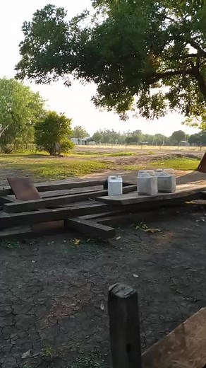 Exploring a Serene Countryside Farm Setting