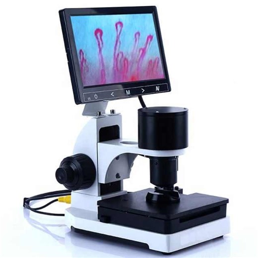 Wholesale Biological Microscope with 400x Magnification Nail Fold Capillary Blood Microscope
