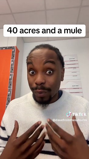 Understanding 40 Acres and a Mule in American History