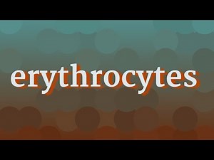 ERYTHROCYTES pronunciation • How to pronounce ERYTHROCYTES