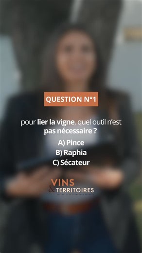 Vins&Territoires on Instagram: "Tu penses connaître la vigne… et le vin ? On a fait un défi “QCM express” : outil pour lier la vigne, terroir du Gard, d’où viennent les tannins, comment refroidir un rouge trop chaud, et même le meilleur verre pour un effervescent. Spoiler : Marion a gagné (encore). Et Fabien s’est fait piéger sur 2-3 trucs 😅 Ton score à toi : tu fais mieux ? — Vins & Territoires, c’est le média collectif des voix du Sud : vignerons & oléiculteurs. Produits vrais, gestes hérités