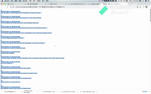 srt中文字幕转换成英文字幕-pr上中英字幕