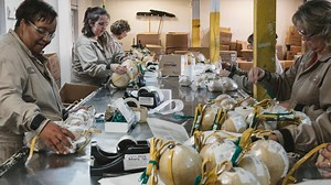 Visit the Grucci family’s fireworks factory in 360 degrees. The Grucci’s have been creating fireworks since 1850 and are among the oldest fireworks companies in the country. | Video From The New York Times