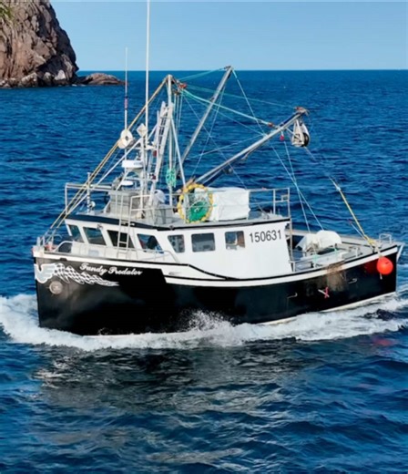 Exploring Newfoundland's Commercial Fishing Scene