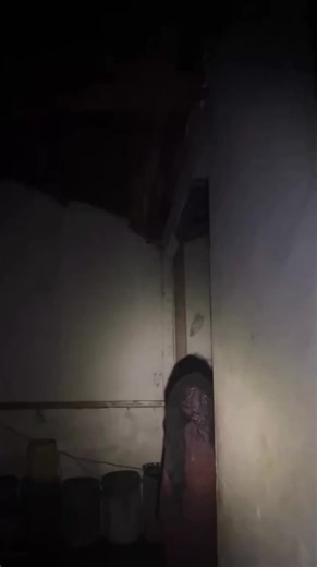 Real Ghost Video Recording: Nighttime Encounter