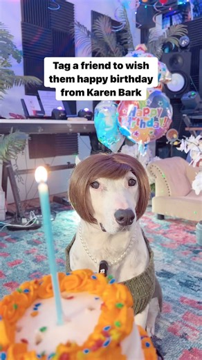 21K views · 1K reactions | Happy birthday my hunny bunny pookie wookie boo! ❤️ #kissies #huggies #cameo #birthday #birthdaygiftideas #giftideas #meme #giftideasforher #giftideasforhim #giftideaforkids #birthdaygirl #birthdayparty #funnymeme | MisterMainer | Facebook