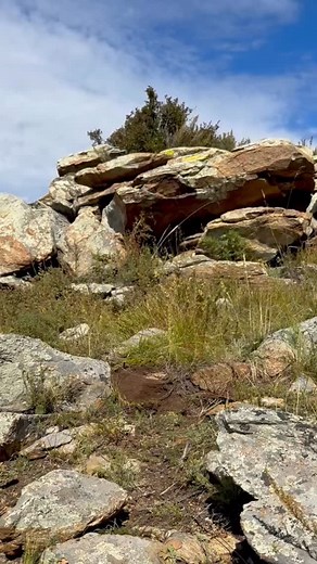 🇺🇸A big Hangay argali is a very impressive animal. After a thrilling stalk our American hunter managed to take this outstanding ram from the hills of Mongolia. #sheephunting #sheephunt #wildsheep #argali #wildsheepfoundation #hunting | Great European Hunts
