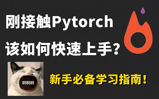 新手如何快速入门Pytorch框架？从安装到实战，华理博士5小时精讲深度学习Pytorch框架，新手必备入门指南！（深度学习/计算机视觉）