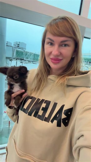 #chihuahuasoftiktok #chihuahualove #chihuahuafanclub #minipuppy #