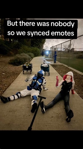 Skyline Superhero | Thank you for joining me on this patrol! @princesskittycat_xoxo @kevlar_cat we got loads out and this was the final California patrol until... | Instagram