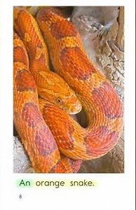AA 25Orange