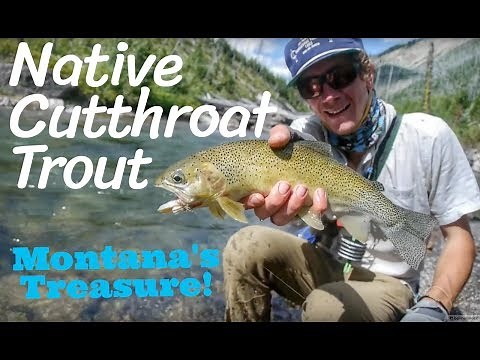 Montana Backcountry Fly Fishing