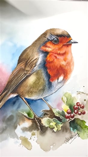 Watch this Robin come to life in Watercolors 🎨