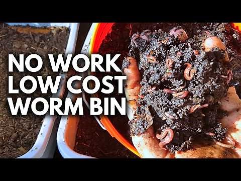 Effortless Worm Composting: A System You Only Touch Every 3 Months!