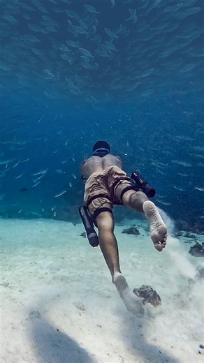 29K views · 328 reactions | 隆‍♀️Want to be Aquaman? Diving with Subnado, you can have the dream come true錄 and enjoy fish  swirling around!!! Shot on DJI Osmo Action 5 Pro @osmo_global @mr10minutes #subnado #waydoo #djiosmoaction5 #dji #blackfriday #freediving #snorkeling #underwater | Waydoo_Official | Facebook