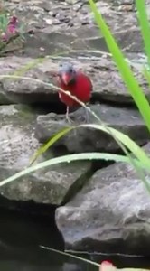 So beautiful | Amazing World