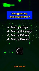 Anong puno ang hummingbird tree? #kwizbeetv #englishtotagalog #quiz #trivia | Kwiz Bee TV