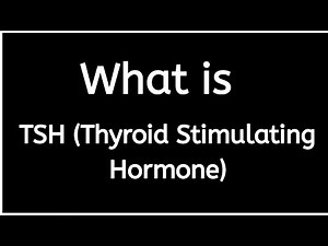 What is TSH (Thyroid Stimulating Hormone) Test?