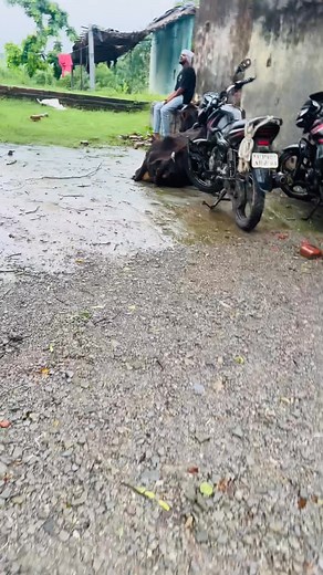 New post #farmansinger | Farman Singer