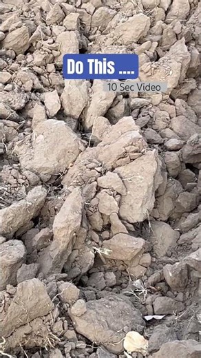 STOP Ploughing Wrong! 🛑 Advanced Double Disk Benefits vs. Risks You MUST Know! 🚜 #Farm #Agri #Plow