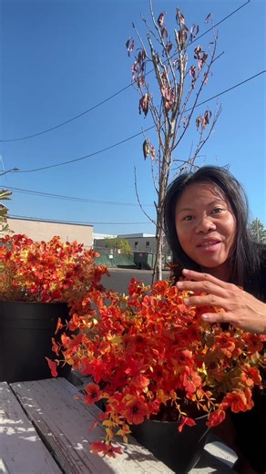 #flower #flowers #artificialflower #artificialflowers #fallflowers