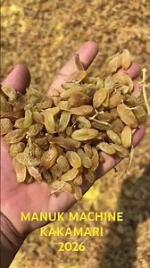 Mm colour sorter machine KAKAMARI athani BELAGAVI