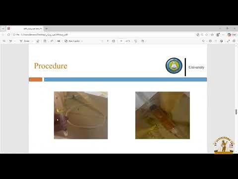 Hydraulic Crane in 5 Min: Pros, Cons & Where It’s Used