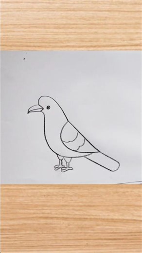 how to draw bird drawing easy step by step