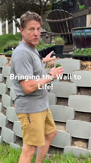 🌱Bringing the wall to life! #concretealternative