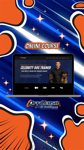 Transform Your Dog's Behavior with Off Leash K9 Online!🧡⬇ At Off Leash K9 Online, we believe every dog has the potential to be a well-behaved, obedient companion. Our expert training programs are designed to help you unlock that potential, transforming your dog into the perfect off-leash companion. With years of experience and thousands of success stories, we're confident that we can help you and your dog achieve your training goals. 💯 Trusted by Thousands of Dog Owners Thousands of satisfied 