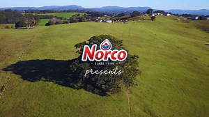 20K views · 917 reactions | As a community-minded organisation, producing authentic Australian dairy products for over 120 years, Norco is proud to be one of the last 100% Australian Farmer Owned dairy co-operatives, meaning all profits go back to our Norco farmers and the communities in which they live. | Norco Milk | Facebook