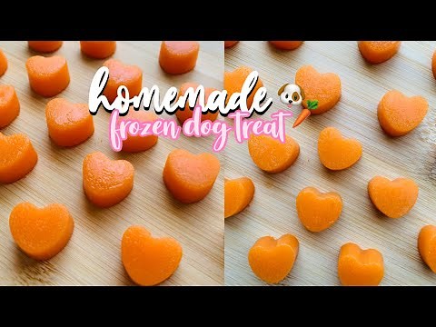 Homemade Frozen Dog Treats! Easy and Healthy Recipe with only 3 Ingredients | How To Make Dog Treats