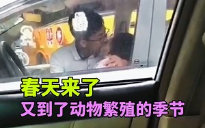 春天来了，万物复苏，又到了动物们繁殖的季节！