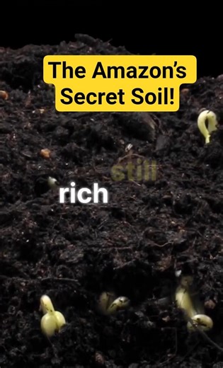 Terra Preta: The Mysterious Black Soil of the Amazon!*