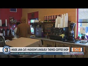In the 608: Java Cat takes unique approach for coffee shop