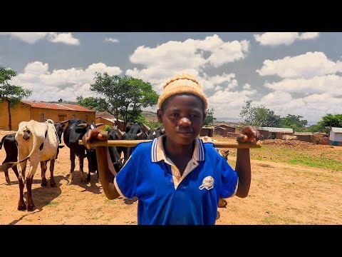 Trap Trick - Akumudzi (Official Music Video) Dir. Mo