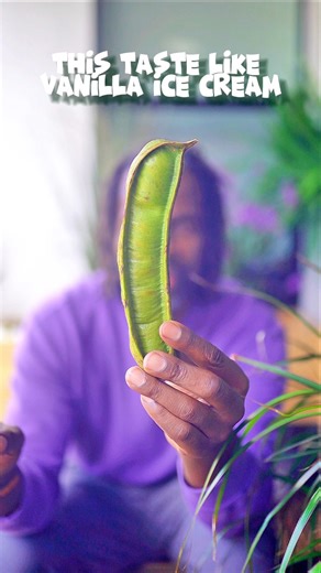 615K views · 10K reactions | The Ice Cream Bean test  with your...