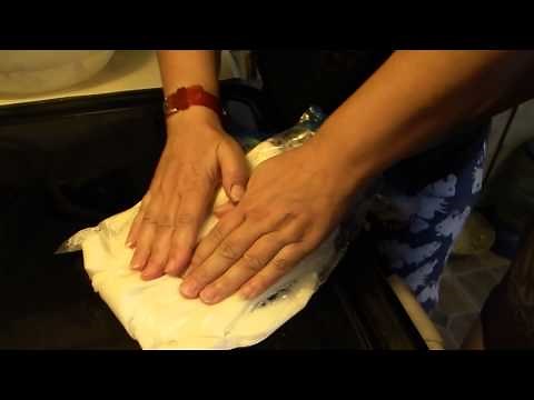 Blubber Gloves Experiment- Kids Science