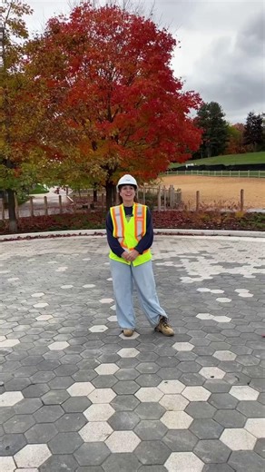 Work is underway at Eglinton Park to make it more accessible, connected, and welcoming. The Eglinton Park Plan was developed with community feedback to identify priorities like accessible pathways, improved stairs, and new spaces for neighbours gather, rest and connect. Visit the project page to learn more about the project and how the community has shaped it: https://www.toronto.ca/city-government/planning-development/construction-new-facilities/parks-facility-plans-strategies/eglinton-park-mas