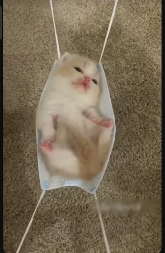 Minnie's winter bow show oh toddles effects