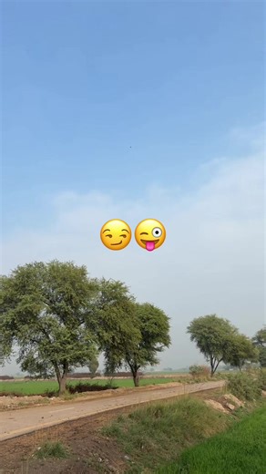 The Importance of Community Support