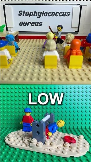 How to Pronounce Staphylococcus aureus - LEGO Microbiology Builds
