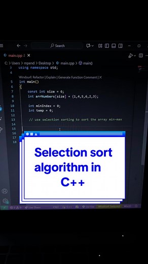 Implementing Selection Sort Algorithm in C
